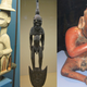 Image for article titled Here's Every Single Penis in the American Museum of Natural History